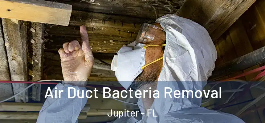  Air Duct Bacteria Removal Jupiter - FL