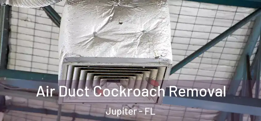 Air Duct Cockroach Removal Jupiter - FL