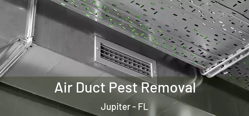 Air Duct Pest Removal Jupiter - FL