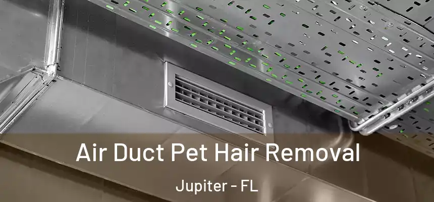  Air Duct Pet Hair Removal Jupiter - FL