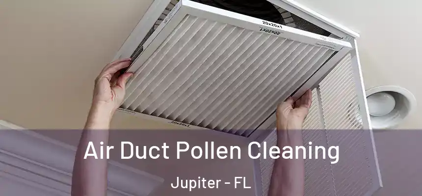  Air Duct Pollen Cleaning Jupiter - FL