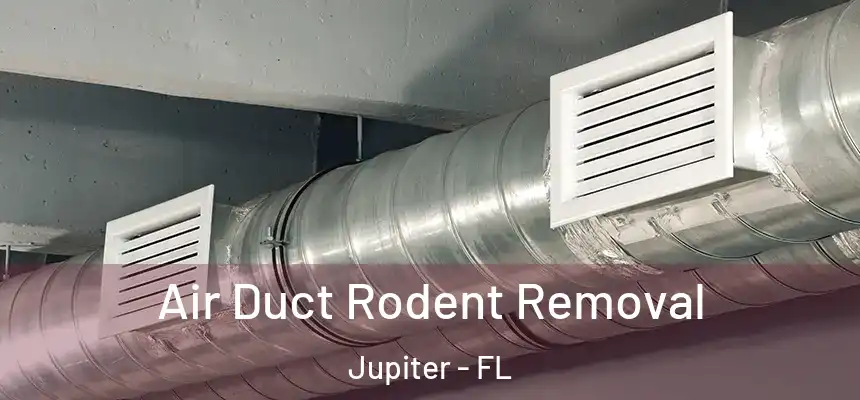 Air Duct Rodent Removal Jupiter - FL