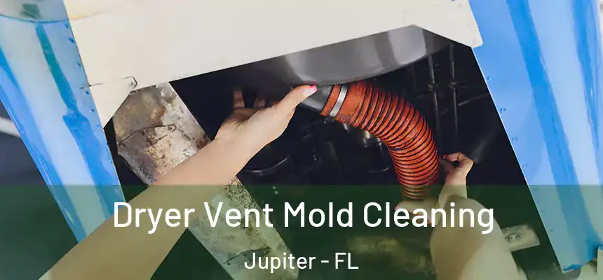  Dryer Vent Mold Cleaning Jupiter - FL