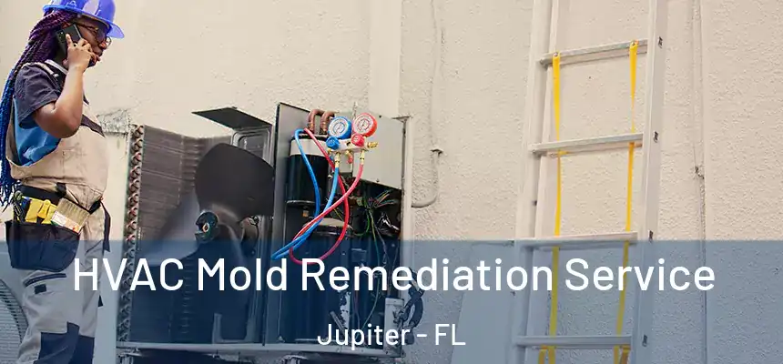  HVAC Mold Remediation Service Jupiter - FL