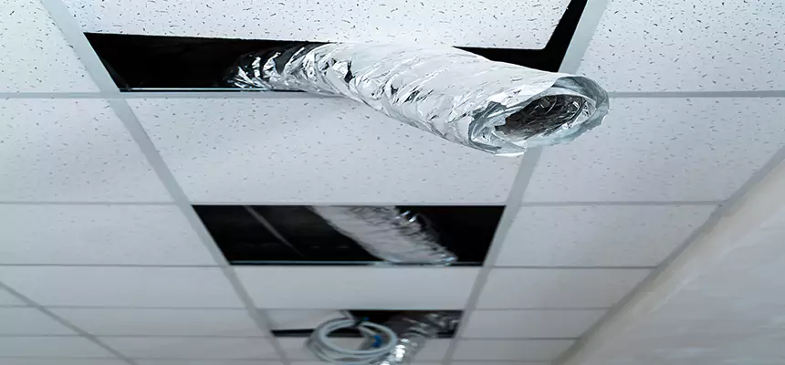 Our Air Duct Pet Hair Removal Services in Jupiter, FL