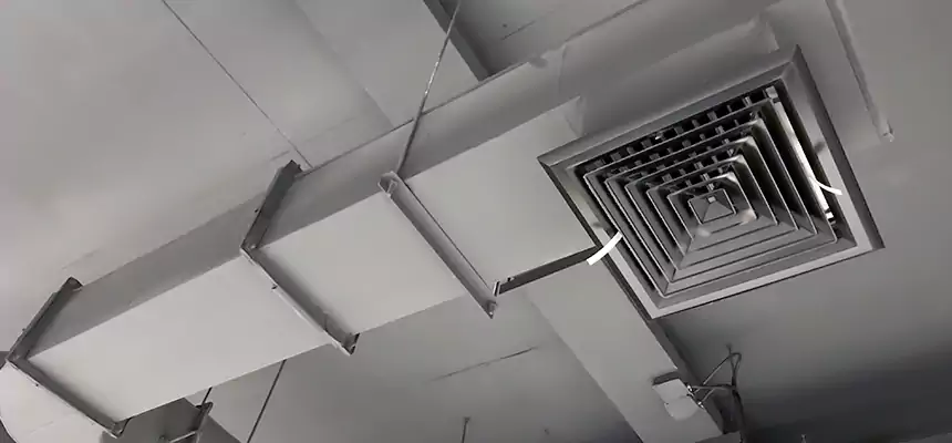 Our Pest Removal From Ducts Services in Jupiter, FL