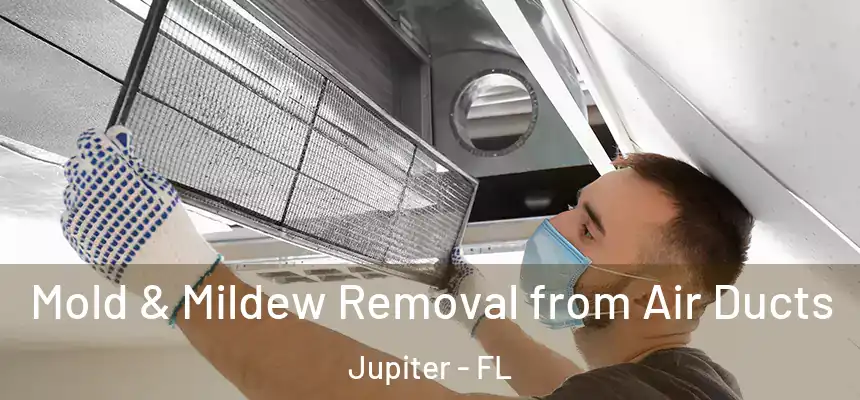 Mold & Mildew Removal from Air Ducts Jupiter - FL