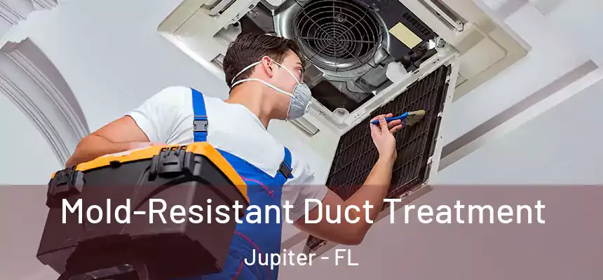 Mold-Resistant Duct Treatment Jupiter - FL