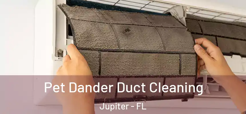  Pet Dander Duct Cleaning Jupiter - FL