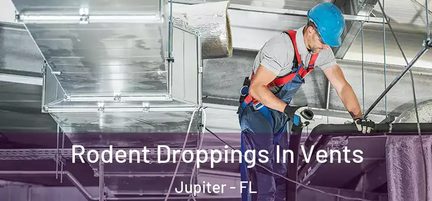  Rodent Droppings In Vents Jupiter - FL