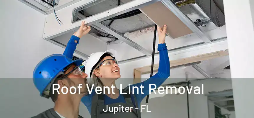  Roof Vent Lint Removal Jupiter - FL