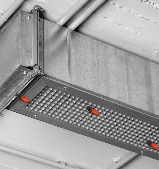 About Air Duct Cockroach Removal in Jupiter, FL