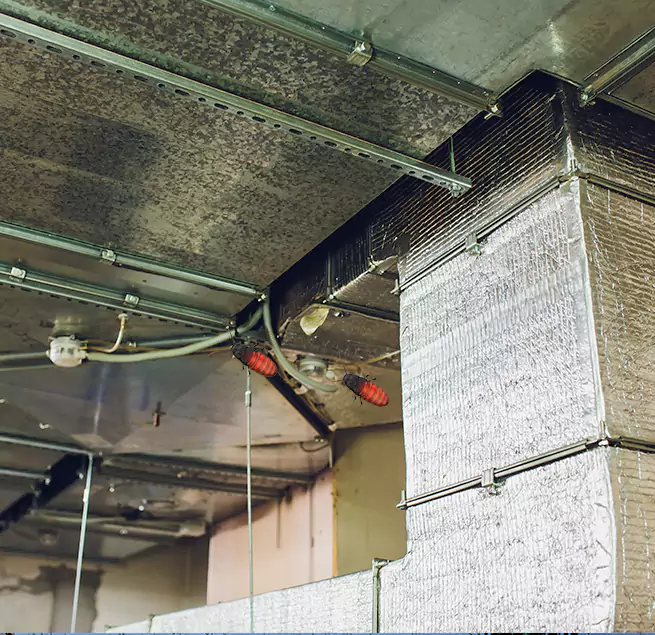 Why Homeowners & Businesses Trust Us in Jupiter, FL?