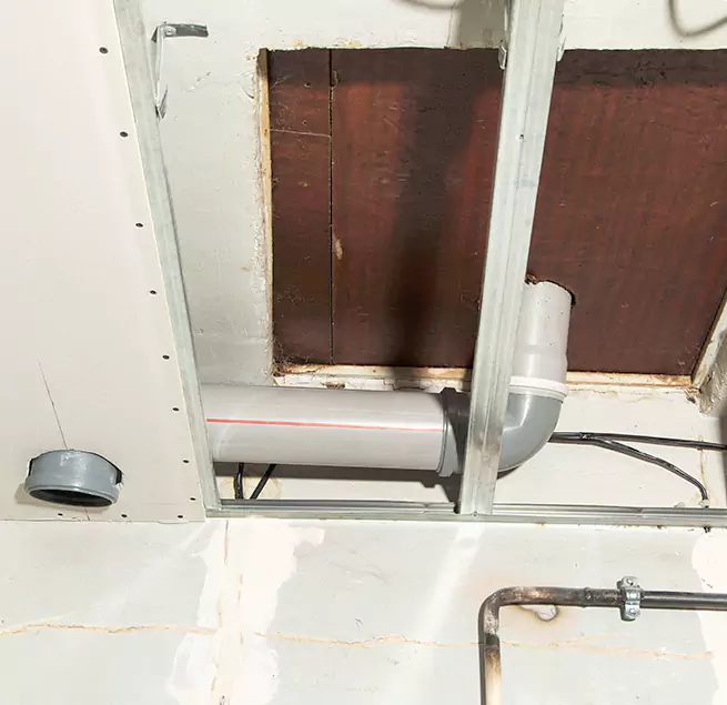 Why Homeowners & Businesses Trust Us in Jupiter, FL?