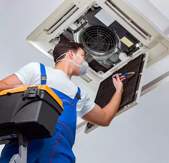 Why Homeowners & Businesses Trust Us in Jupiter, FL