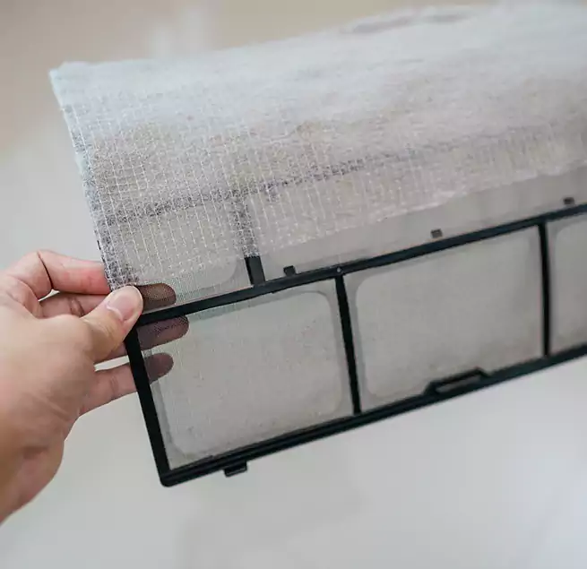 Why Homeowners & Businesses Trust Us in Jupiter, FL?