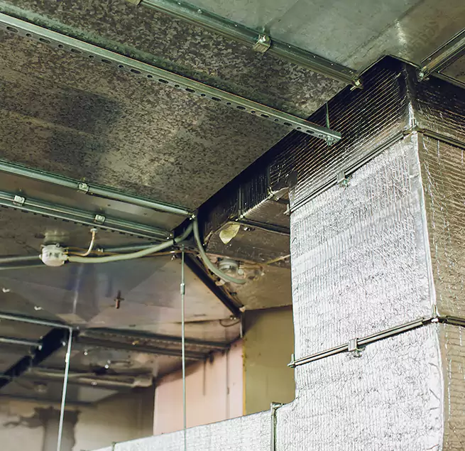 Why Homeowners & Businesses Trust Us in Jupiter, FL?